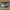 E36